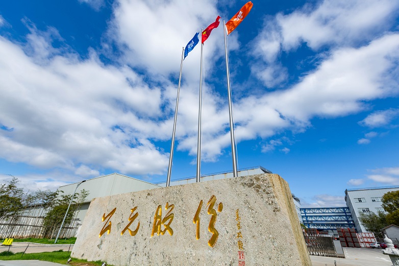 信息披露-Cmp冠军优家管-管网系统方案解决者-永高股份【官网】